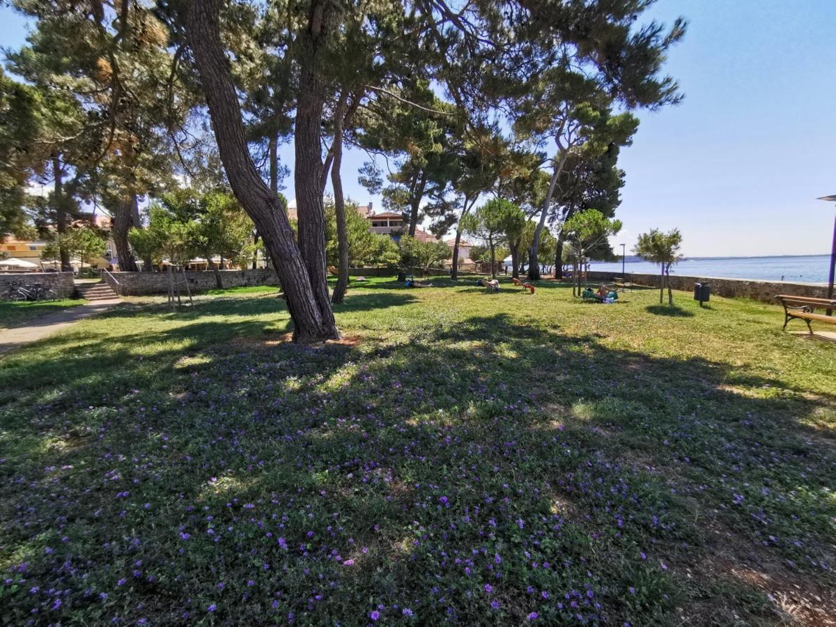 Stella Deluxe Superior 5 Star Apartment, Your Piece Of Heaven By The Sea & Park, With Sea View Novigrad  Екстер'єр фото